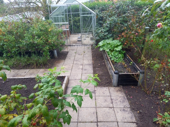 Flisegang ved et drivhus omgivet af højbede og tæt beplantning, der viser en funktionel og æstetisk brolægning i en have.